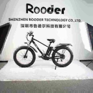 20 Folding E Bike producent