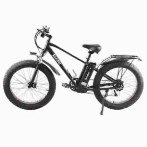 20 I Ebike producent