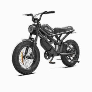 24 Fat Tire Ebike-producent