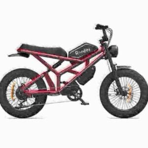 24 tommer Fat Tire Electric Bike-producent