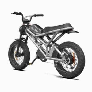 250w elektrisk cykel Kina producent