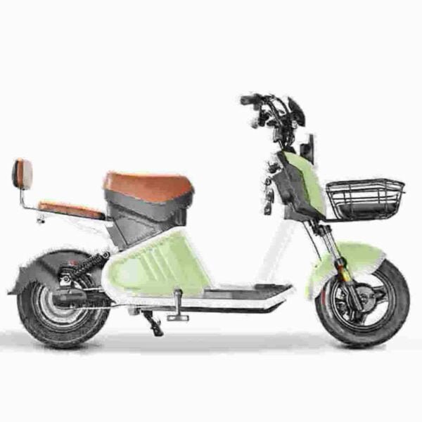 3000W Citycoco Scooter producent