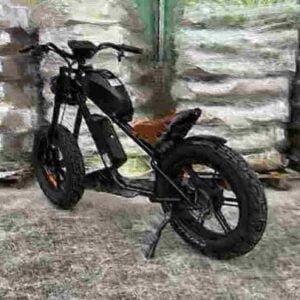 750 Watt Fat Tire Ebike-producent