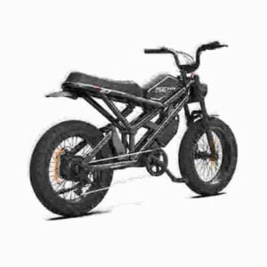 Adult Fat Tire Electric Bike Producent