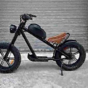 All Terrain Electric Fat Bike producent