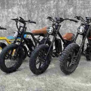 Assassin Electric Dirt Bike-producent