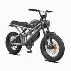 Bedste Ebike Fat Tire-producent