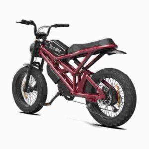 Bedste Fat Tire Ebike Canada-producent