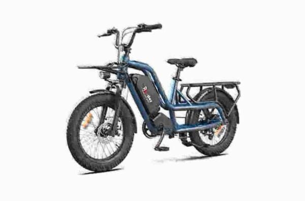 Bedste Fat Tire Ebikes producent