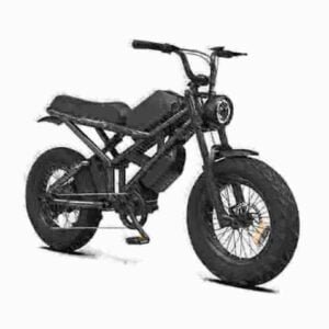 Best Value Electric Mountain Bike producent