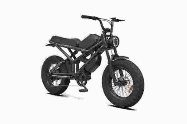 Best Value Electric Mountain Bike producent