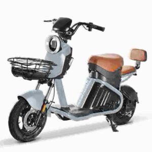 Citycoco elektrisk scooter 2000w producent