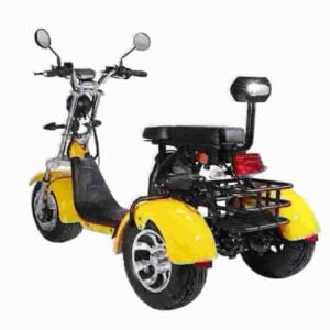 Citycoco Golf Scooter producent