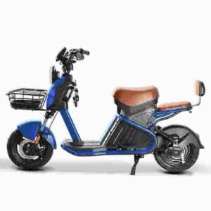 Citycoco Scooter Til salg producent