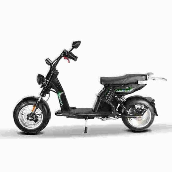 Citycoco Scooter producent