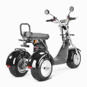 Citycoco Trike 3000w producent