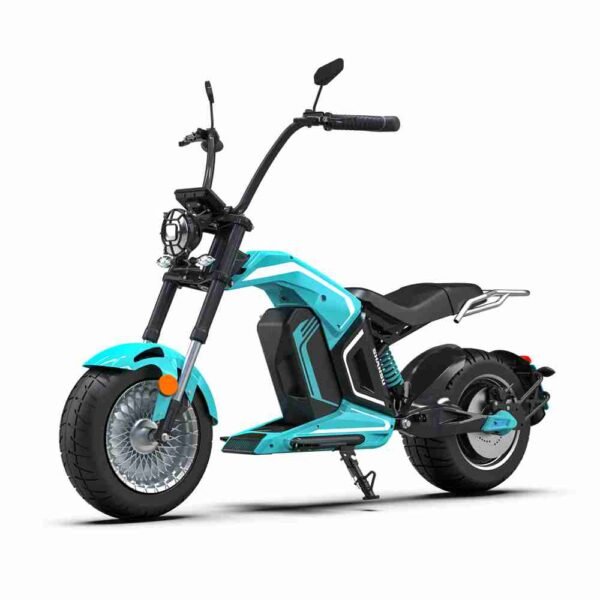 Citycoco el-scooter hm8 3000w 40ah