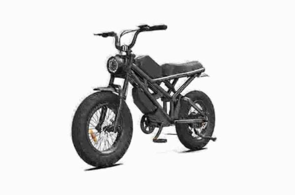 E Bikes Fat Tires producent