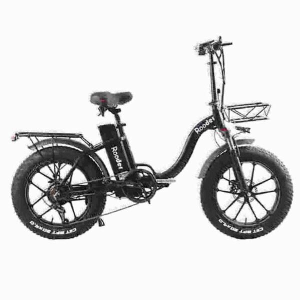 E Cycle Electric Bike producent