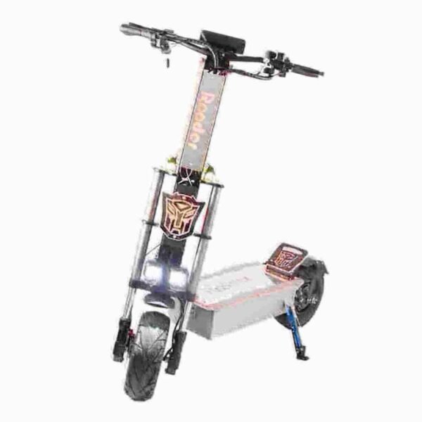 E Scooter 1000w producent