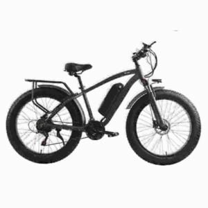 Ebike Electric Bike producent