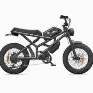 Ebike For Heavy Man producent