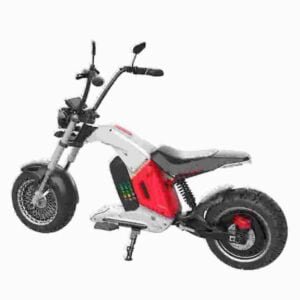 Elektrisk Citycoco Scooter producent