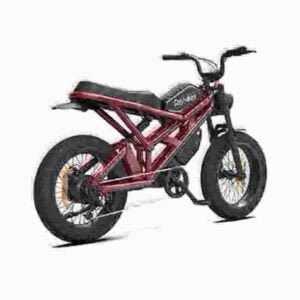 Electric Cycle Fat Tire-producent