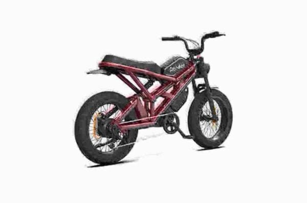 Electric Cycle Fat Tire-producent