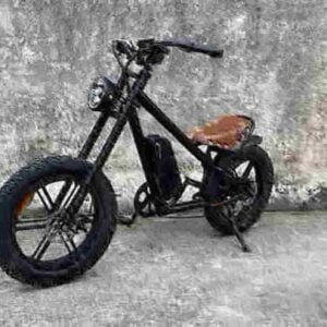 Elektrisk Fat Bike Cycle producent