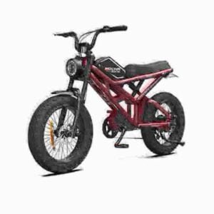 Elektrisk Fat Bike Til salg producent