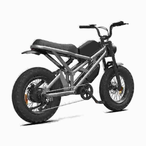 Electric Fat Tire Ebike producent