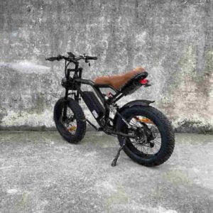 Electric Motion Dirt Bike producent