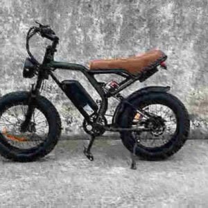 Ev Bike producent