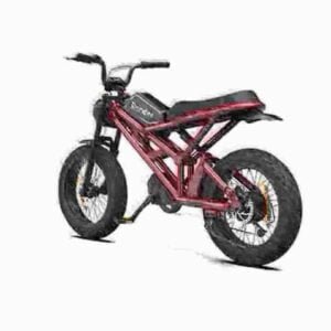 Fat Tire Battery Bike producent