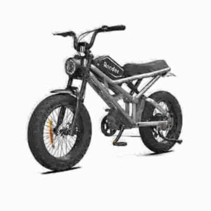 Fat Tire Electric Bike Off Road producent