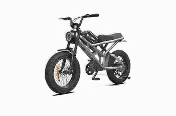 Fat Tire Electric Bike Off Road producent