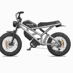 Folding Electric Assist Bike producent