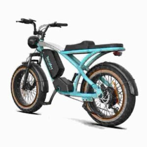 Fuld størrelse Folding E Bike producent