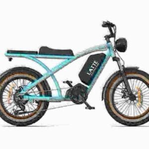 Letteste Folding E Bike producent