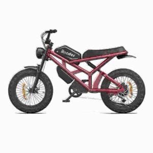 Mest kraftfulde Fat Tire Ebike-producent