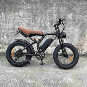 Single Speed Electric Bike producent