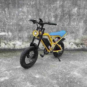 Small Wheel Electric Folding Bike Producent