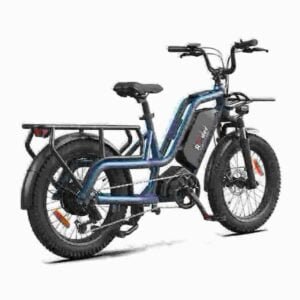 Engros Fat Tire Electric Bike producent