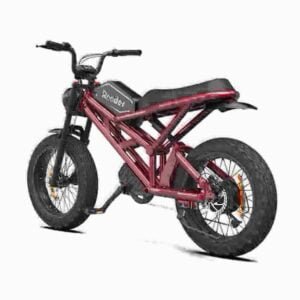 producent af elektrisk mountainbike